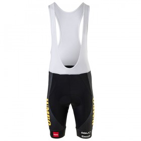Bib Cykelshorts 2020 Team Jumbo-Visma N001 